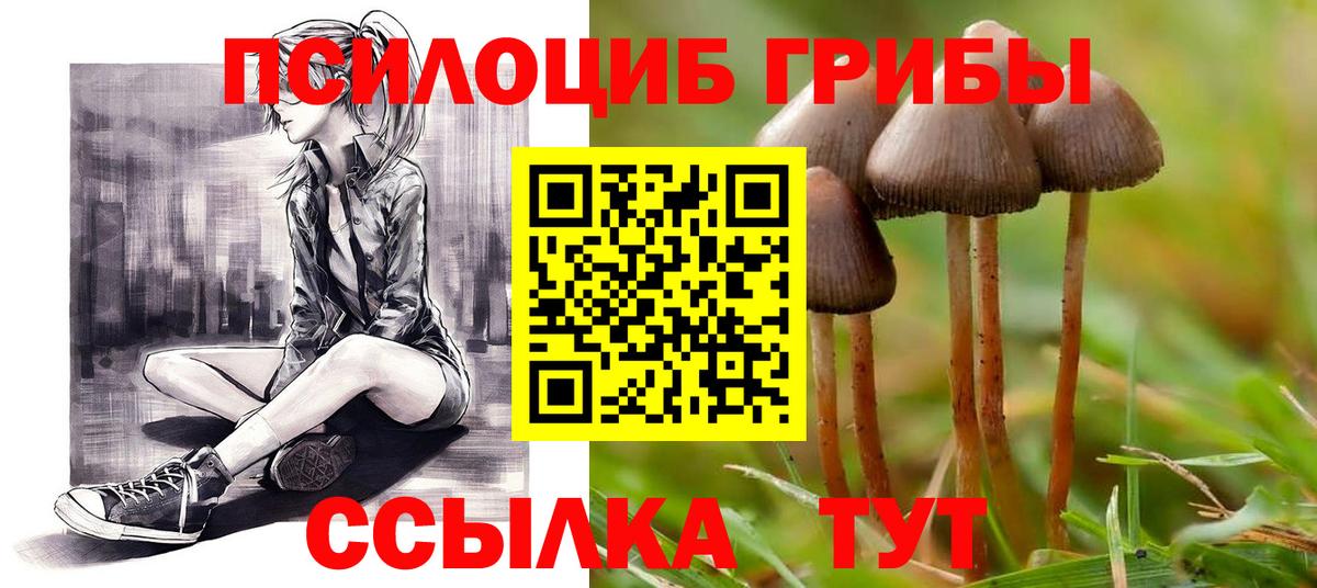 Вятские Поляны  продажа наркотиков  Вход с VPN  Галлюциногенные грибы MAGIC MUSHROOMS 